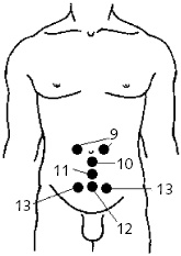 Иллюстрация к книге — Китайский императорский массаж. Лечение 100 болезней с помощью банок. Большой атлас зон исцеления [_33.jpg]