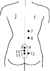 Иллюстрация к книге — Китайский императорский массаж. Лечение 100 болезней с помощью банок. Большой атлас зон исцеления [_35.jpg]
