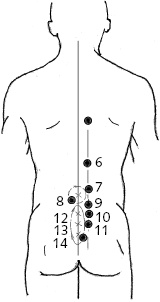 Иллюстрация к книге — Китайский императорский массаж. Лечение 100 болезней с помощью банок. Большой атлас зон исцеления [_38.jpg]