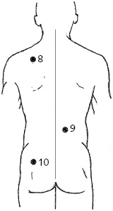 Иллюстрация к книге — Китайский императорский массаж. Лечение 100 болезней с помощью банок. Большой атлас зон исцеления [_41.jpg]