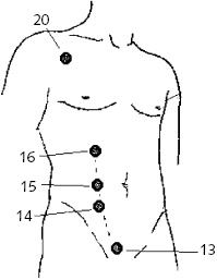 Иллюстрация к книге — Китайский императорский массаж. Лечение 100 болезней с помощью банок. Большой атлас зон исцеления [_52.jpg]