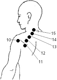 Иллюстрация к книге — Китайский императорский массаж. Лечение 100 болезней с помощью банок. Большой атлас зон исцеления [_54.jpg]