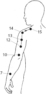 Иллюстрация к книге — Китайский императорский массаж. Лечение 100 болезней с помощью банок. Большой атлас зон исцеления [_59.jpg]