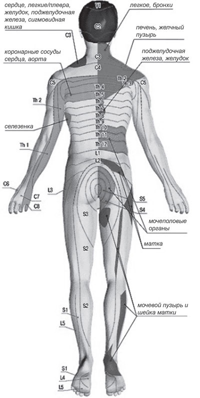 Иллюстрация к книге — Ипликатор Кузнецова. Избавление от боли в спине и шее [i_036.jpg]