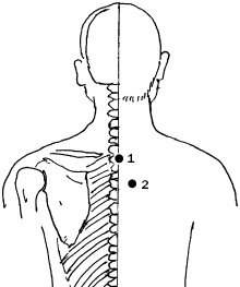 Иллюстрация к книге — Простукивание активных точек - метод пробуждения целительной энергии. С подробным атласом [_16.jpg]