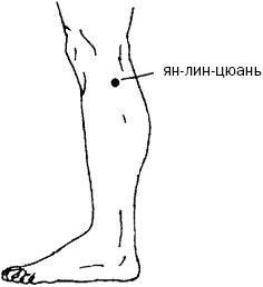 Иллюстрация к книге — Простукивание активных точек - метод пробуждения целительной энергии. С подробным атласом [_38.jpg]