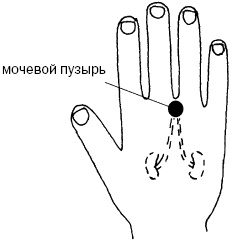 Иллюстрация к книге — Простукивание активных точек - метод пробуждения целительной энергии. С подробным атласом [_46.jpg]