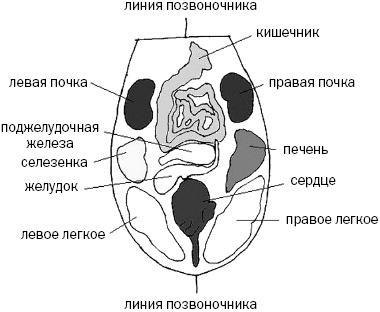 Иллюстрация к книге — Простукивание активных точек - метод пробуждения целительной энергии. С подробным атласом [_55.jpg]