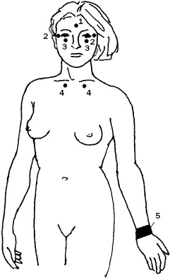 Иллюстрация к книге — Простукивание активных точек - метод пробуждения целительной энергии. С подробным атласом [_58.jpg]