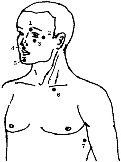 Иллюстрация к книге — Простукивание активных точек - метод пробуждения целительной энергии. С подробным атласом [_6.jpg]