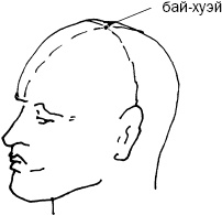 Иллюстрация к книге — Простукивание активных точек - метод пробуждения целительной энергии. С подробным атласом [_60.jpg]