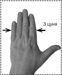 Иллюстрация к книге — Простукивание активных точек - метод пробуждения целительной энергии. С подробным атласом [_63.jpg]