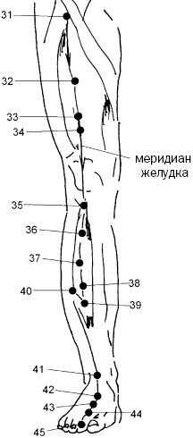 Иллюстрация к книге — Простукивание активных точек - метод пробуждения целительной энергии. С подробным атласом [_70.jpg]