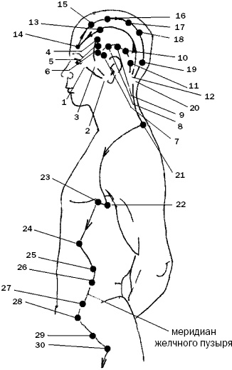 Иллюстрация к книге — Простукивание активных точек - метод пробуждения целительной энергии. С подробным атласом [_82.jpg]