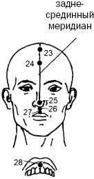Иллюстрация к книге — Простукивание активных точек - метод пробуждения целительной энергии. С подробным атласом [_91.jpg]