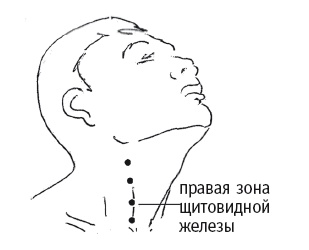 Иллюстрация к книге — Атлас целительных точек. Печень, почки, желудок [Autogen_eBook_id103.jpg]