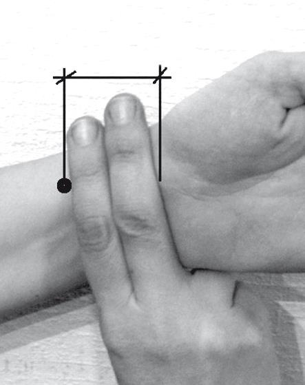 Иллюстрация к книге — Атлас целительных точек. Печень, почки, желудок [Autogen_eBook_id11.jpg]