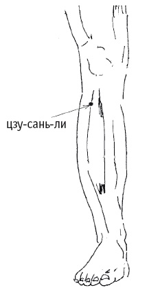 Иллюстрация к книге — Атлас целительных точек. Печень, почки, желудок [Autogen_eBook_id110.jpg]