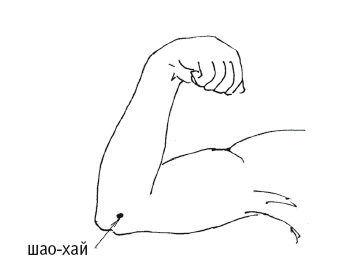 Иллюстрация к книге — Атлас целительных точек. Печень, почки, желудок [Autogen_eBook_id120.jpg]