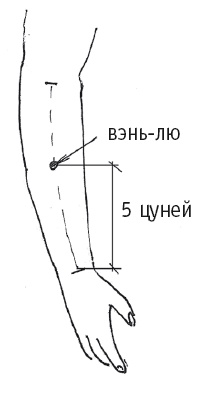 Иллюстрация к книге — Атлас целительных точек. Печень, почки, желудок [Autogen_eBook_id15.jpg]