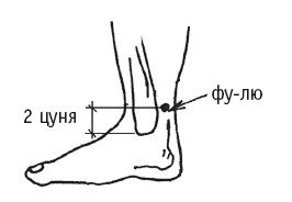 Иллюстрация к книге — Атлас целительных точек. Печень, почки, желудок [Autogen_eBook_id17.jpg]