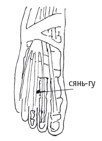 Иллюстрация к книге — Атлас целительных точек. Печень, почки, желудок [Autogen_eBook_id18.jpg]
