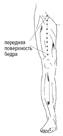 Иллюстрация к книге — Атлас целительных точек. Печень, почки, желудок [Autogen_eBook_id21.jpg]