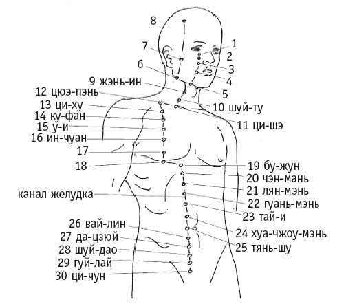 Иллюстрация к книге — Атлас целительных точек. Печень, почки, желудок [Autogen_eBook_id24.jpg]