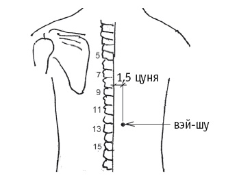 Иллюстрация к книге — Атлас целительных точек. Печень, почки, желудок [Autogen_eBook_id26.jpg]