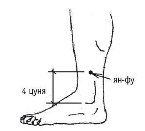 Иллюстрация к книге — Атлас целительных точек. Печень, почки, желудок [Autogen_eBook_id32.jpg]