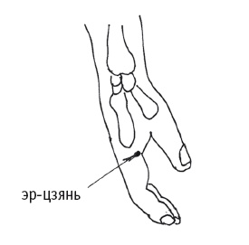 Иллюстрация к книге — Атлас целительных точек. Печень, почки, желудок [Autogen_eBook_id33.jpg]