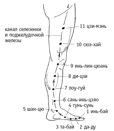 Иллюстрация к книге — Атлас целительных точек. Печень, почки, желудок [Autogen_eBook_id35.jpg]