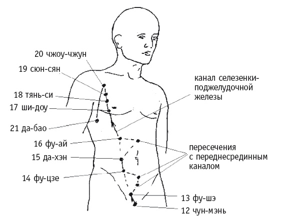 Иллюстрация к книге — Атлас целительных точек. Печень, почки, желудок [Autogen_eBook_id36.jpg]