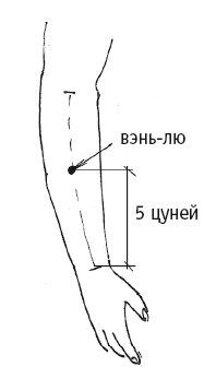 Иллюстрация к книге — Атлас целительных точек. Печень, почки, желудок [Autogen_eBook_id44.jpg]
