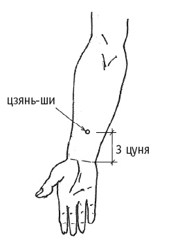 Иллюстрация к книге — Атлас целительных точек. Печень, почки, желудок [Autogen_eBook_id45.jpg]