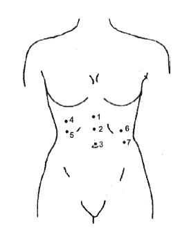 Иллюстрация к книге — Атлас целительных точек. Печень, почки, желудок [Autogen_eBook_id54.jpg]