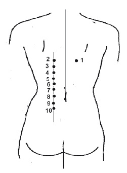 Иллюстрация к книге — Атлас целительных точек. Печень, почки, желудок [Autogen_eBook_id55.jpg]