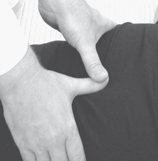 Иллюстрация к книге — Атлас целительных точек. Печень, почки, желудок [Autogen_eBook_id6.jpg]