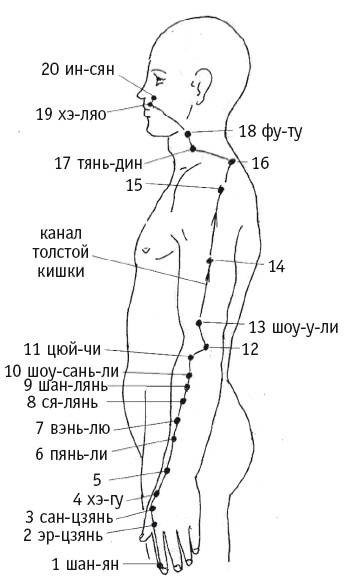 Иллюстрация к книге — Атлас целительных точек. Печень, почки, желудок [Autogen_eBook_id60.jpg]