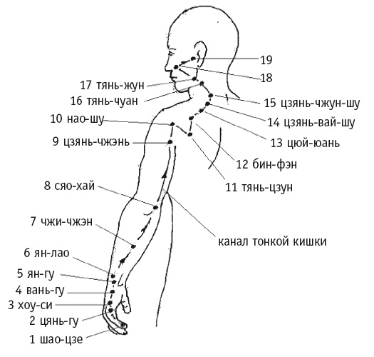 Иллюстрация к книге — Атлас целительных точек. Печень, почки, желудок [Autogen_eBook_id69.jpg]