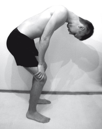 Иллюстрация к книге — Атлас целительных точек. Печень, почки, желудок [Autogen_eBook_id79.jpg]