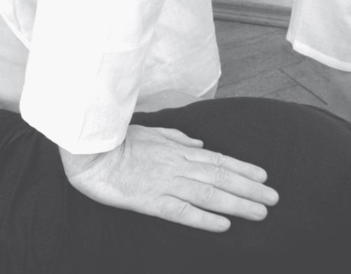 Иллюстрация к книге — Атлас целительных точек. Печень, почки, желудок [Autogen_eBook_id8.jpg]