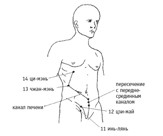 Иллюстрация к книге — Атлас целительных точек. Печень, почки, желудок [Autogen_eBook_id87.jpg]