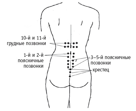 Иллюстрация к книге — Атлас целительных точек. Печень, почки, желудок [Autogen_eBook_id94.jpg]