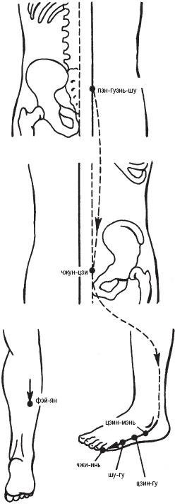 Иллюстрация к книге — Лечебные точки организма. Снимаем боли в сердце и в области живота [_13.jpg]