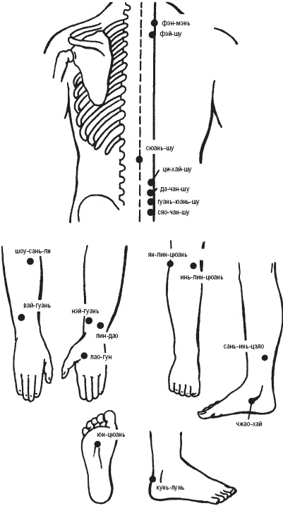 Иллюстрация к книге — Лечебные точки организма. Снимаем боли в сердце и в области живота [_20.jpg]