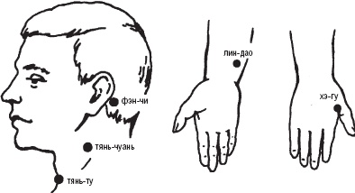 Иллюстрация к книге — Лечебные точки организма. Снимаем боли в сердце и в области живота [_23.jpg]