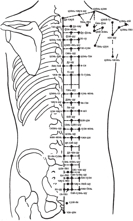 Иллюстрация к книге — Лечебные точки организма. Снимаем боли в сердце и в области живота [_3.jpg]