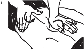 Иллюстрация к книге — Лечебные точки организма. Снимаем боли в сердце и в области живота [_52.jpg]