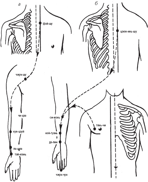 Иллюстрация к книге — Лечебные точки организма. Снимаем боли в сердце и в области живота [_6.jpg]